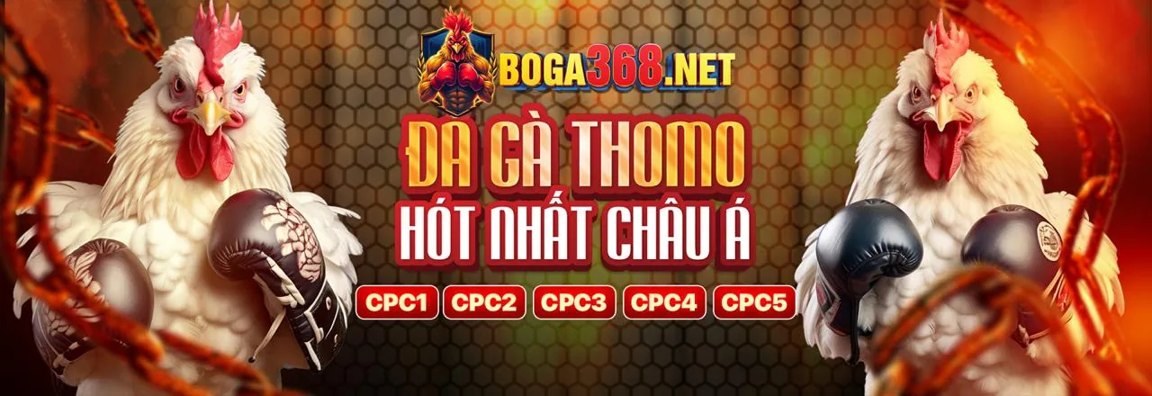 Đá Gà Trực Tuyến i9999 Win